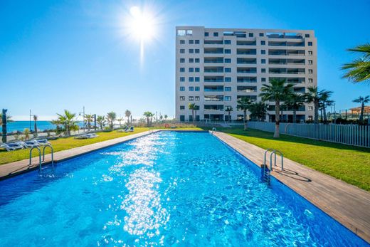 Apartamento - Torrevieja, Provincia de Alicante