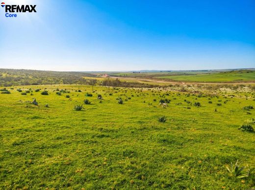 Teren w Zorita, Provincia de Cáceres
