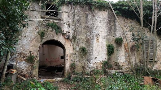 전원/농가 / Binissalem, Illes Balears