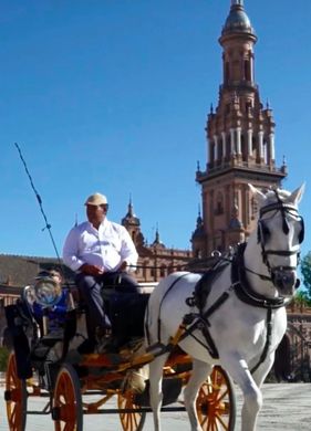 Dom jednorodzinny w Sewilla, Provincia de Sevilla