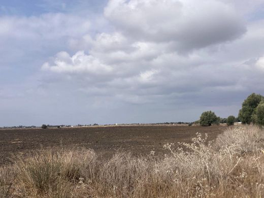 Land in Vejer de la Frontera, Cadiz