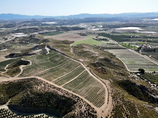 أرض ﻓﻲ Cuevas del Almanzora, Almería