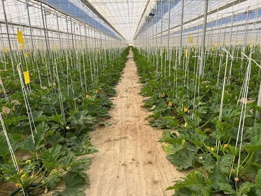 Grond in Níjar, Almería