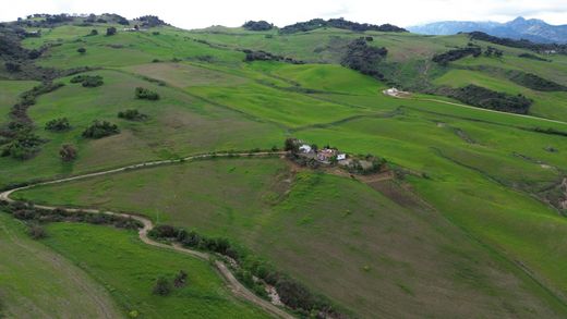 Teren w Montecorto, Provincia de Cádiz