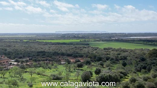 Land in ses Salines, Province of Balearic Islands