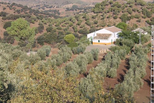 Luxury home in El Gastor, Cadiz