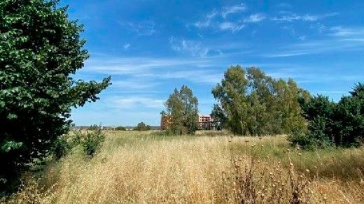 Teren w Jerez de la Frontera, Provincia de Cádiz