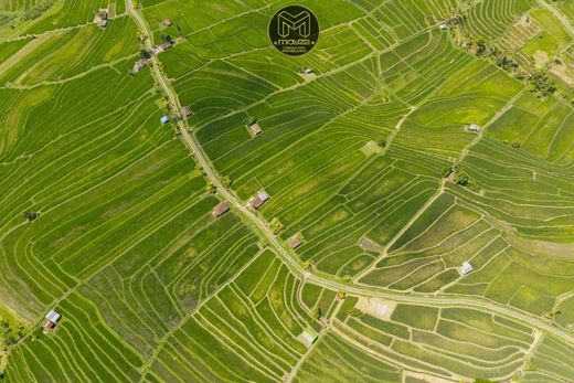 地皮  阿利坎特, Provincia de Alicante