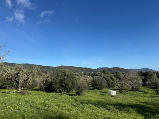 Land in Campanet, Province of Balearic Islands