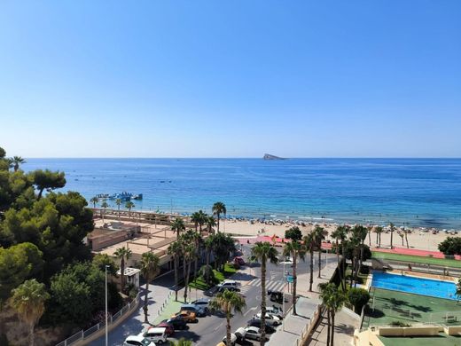 Apartment in Benidorm, Alicante