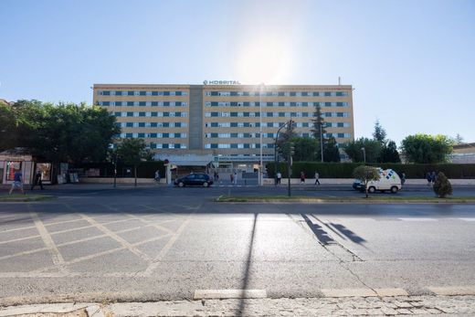 Detached House in Granada, Andalusia