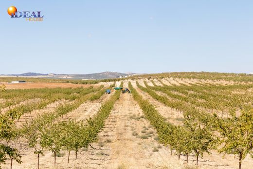 Land in Escúzar, Granada