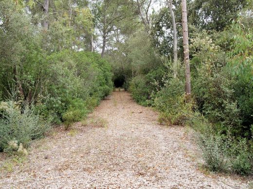 Sencelles, Illes Balearsの土地