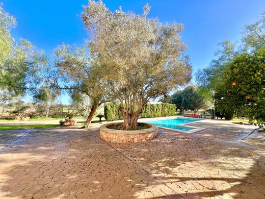 Rustykalny lub Wiejski w Campos, Illes Balears