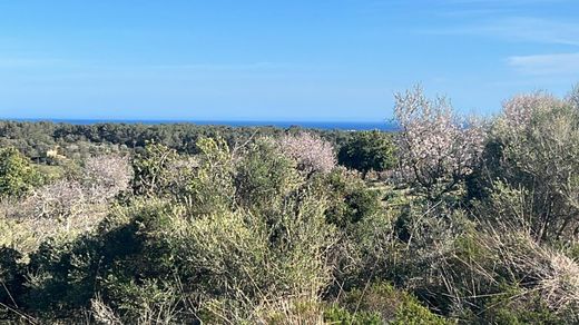 Manacor, Illes Balearsの土地