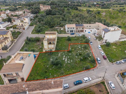 Teren w Sant Llorenç des Cardassar, Illes Balears