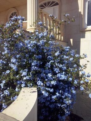 Casa Unifamiliare a San Vicent del Raspeig, Provincia de Alicante