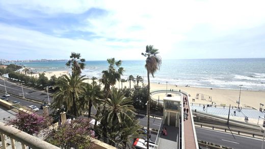 Daire Alicante, Provincia de Alicante