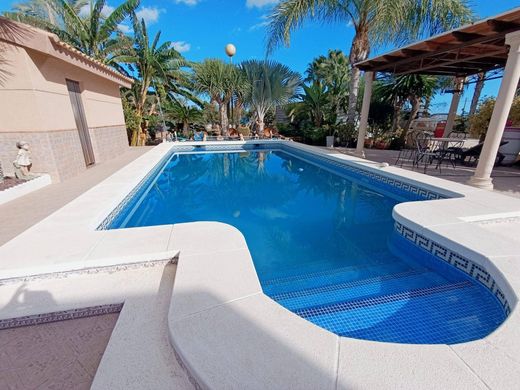 Detached House in Elche, Alicante