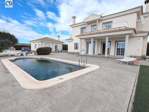 Einfamilienhaus in Pinoso, Alicante
