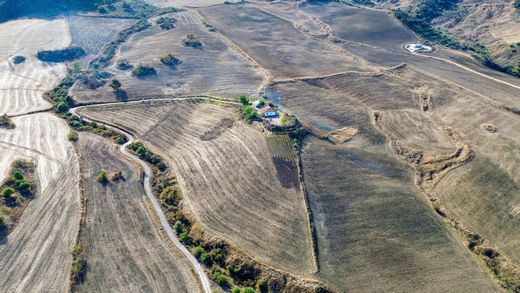 ‏קרקע ב  Montecorto, Provincia de Cádiz