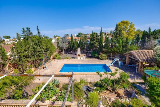 Detached House in Torrevieja, Alicante