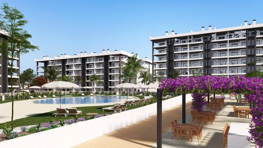 Penthouse à Torrevieja, Alicante