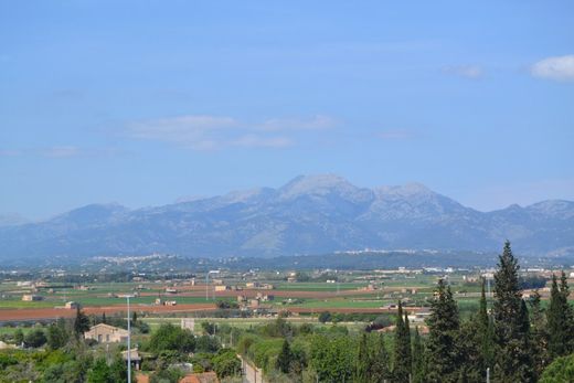 Muro, Illes Balearsの土地