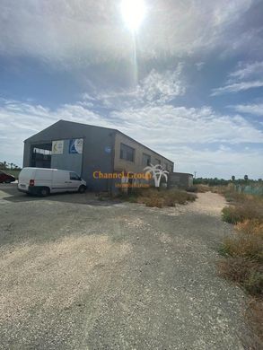 Land in Elche, Alicante