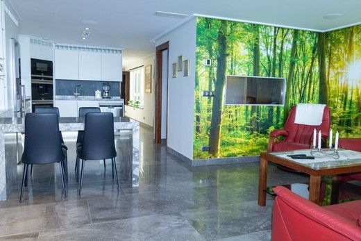 Torrevieja, アリカンテのペントハウス