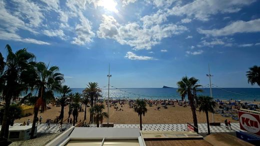 Daire Benidorm, Provincia de Alicante