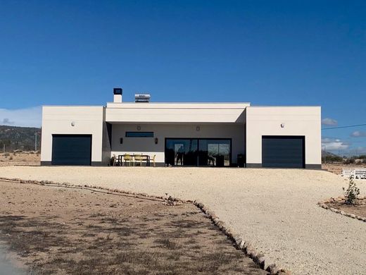 Villa in Pinoso, Alicante