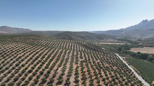 Terrain à Albolote, Grenade