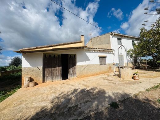 Rural or Farmhouse in Manacor, Province of Balearic Islands