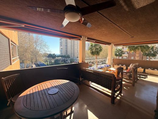 Apartamento - Benidorm, Provincia de Alicante