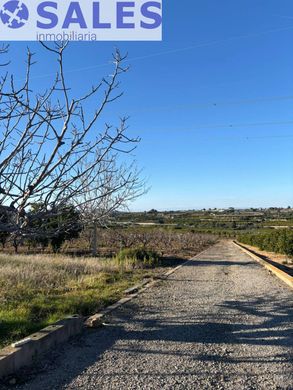 Участок, Picassent, Província de València