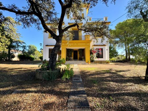 Detached House in Cordova, Province of Córdoba