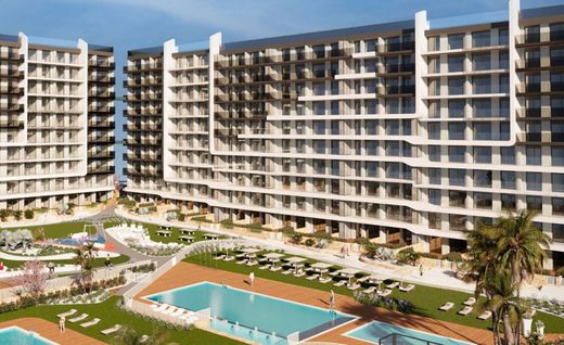 Torrevieja, アリカンテのペントハウス