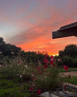 Rustico o Casale a Vejer de la Frontera, Cadice