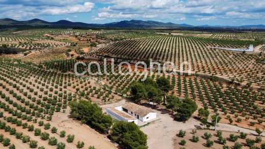 Rustik ya da çiftlik Utiel, Província de València