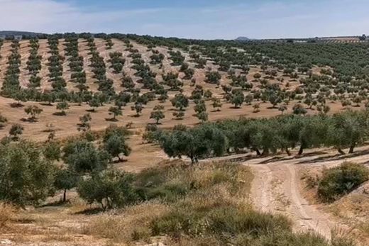 Terreno - Huelma, Provincia de Jaén