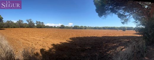 Arsa Vejer de la Frontera, Provincia de Cádiz