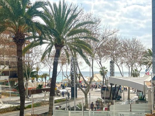 Apartamento - Benidorm, Provincia de Alicante