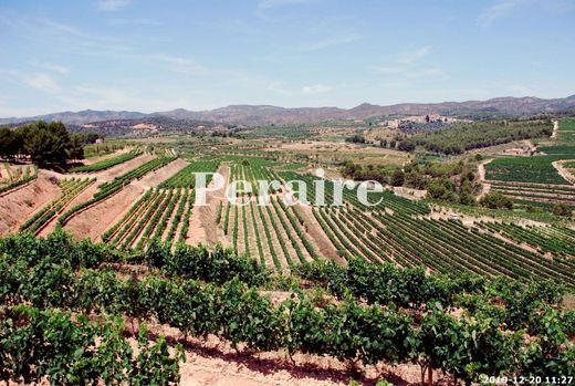 Land in Falset, Province of Tarragona