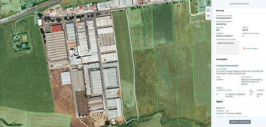 Land in Écija, Province of Seville