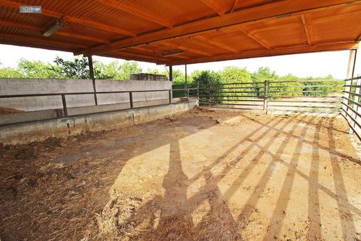 Усадьба / Сельский дом, Малага, Provincia de Málaga