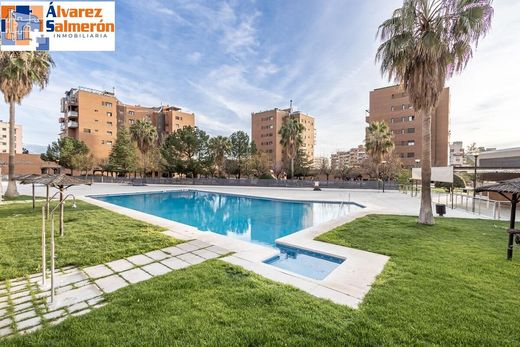 Apartment in Granada, Andalusia