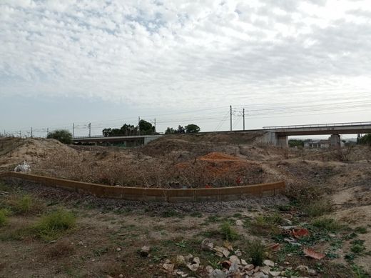 Terreno a Jerez de la Frontera, Cadice