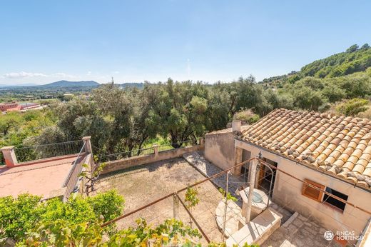 Selva, Illes Balearsの一戸建て住宅