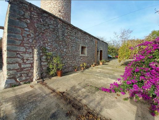 Binissalem, Illes Balearsのカントリー風またはファームハウス